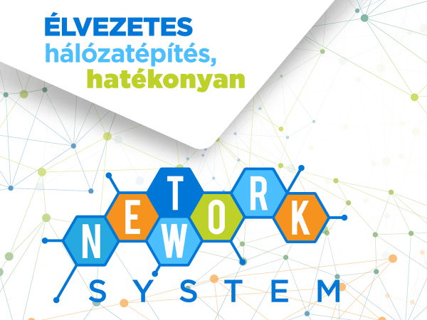 Network System